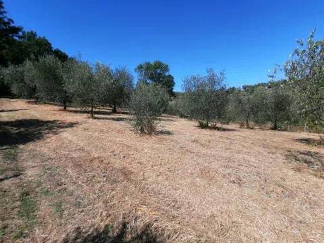Terreno in vendita a Quarrata PT