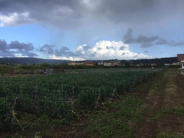 Terreno in vendita a Quarto NA