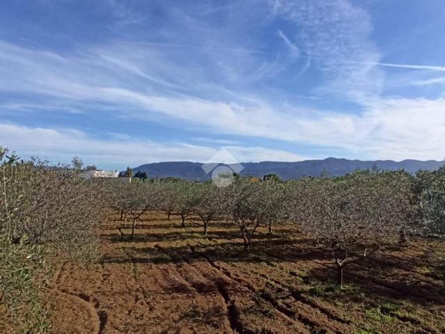 Terreno in vendita a Quartu Sant'Elena CA