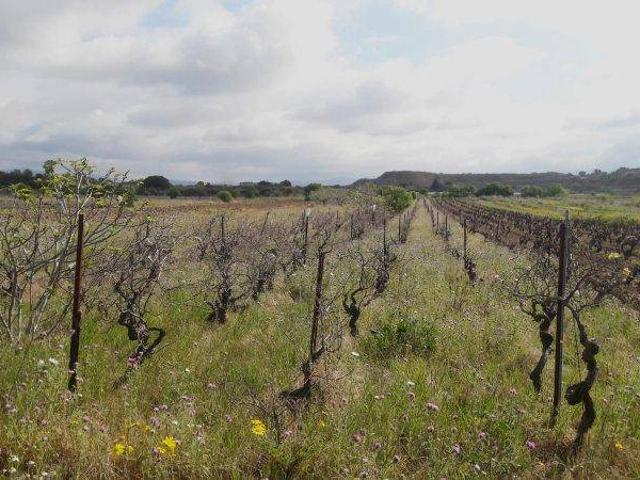 Terreno in vendita a Quartu Sant'Elena CA