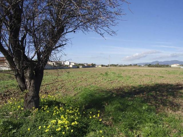 Terreno in vendita a Quartu Sant'Elena CA