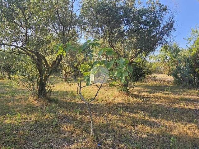 Terreno in vendita a Quartucciu CA