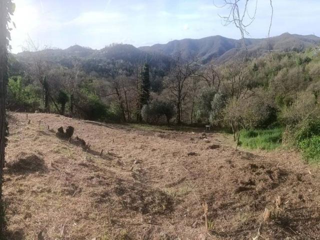 Terreno in vendita a Quiliano SV