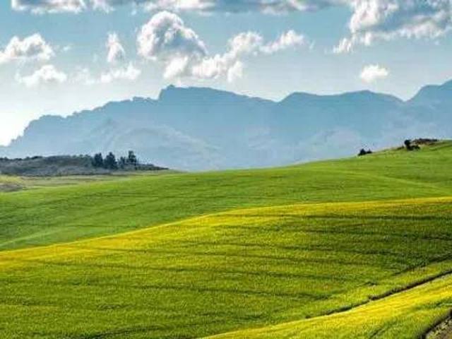 Terreno in vendita a Quistello MN