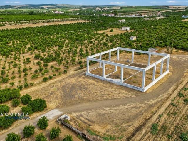 Terreno in vendita a Ramacca CT