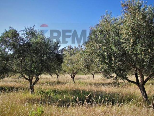 Terreno in vendita a Ramacca