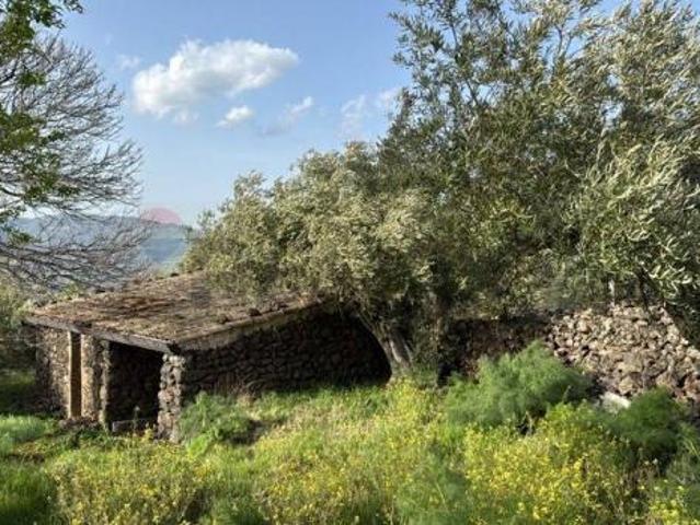 Terreno in vendita a Randazzo