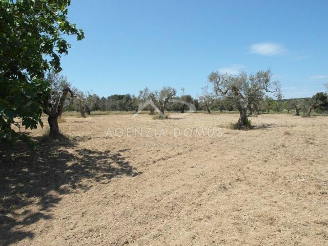 Terreno in vendita a Racale LE