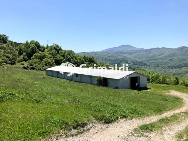 Terreno in vendita a Radicofani SI