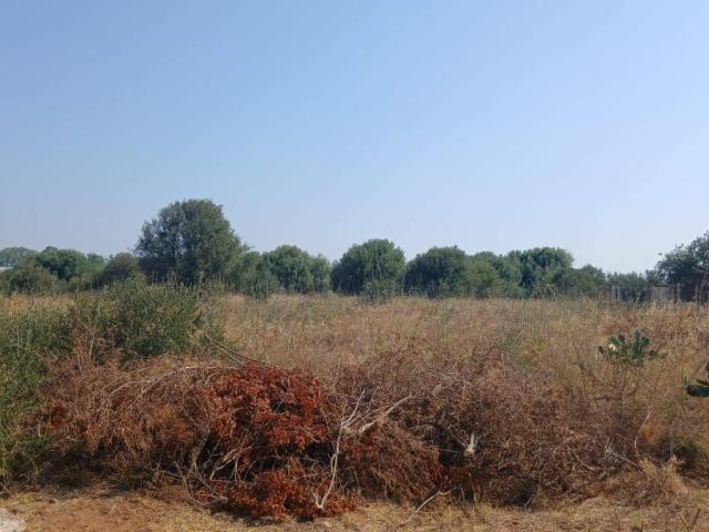 Terreno in vendita a Ragusa RG