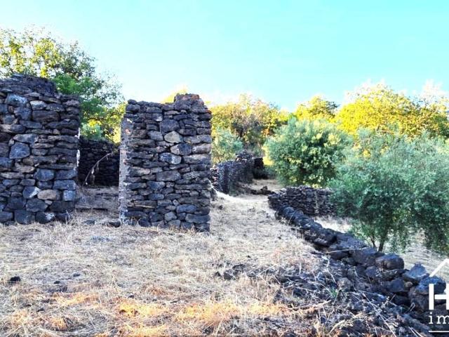 Terreno in vendita a Ragalna CT
