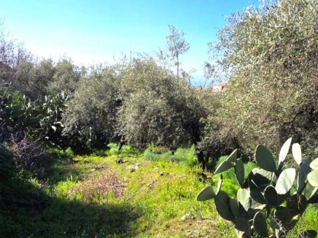 Terreno in vendita a Ragalna CT