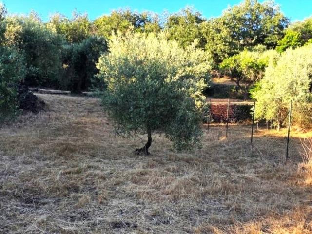 Terreno in vendita a Ragalna CT