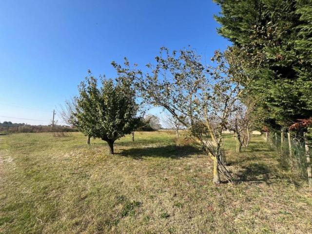 Terreno in vendita a Ravenna RA