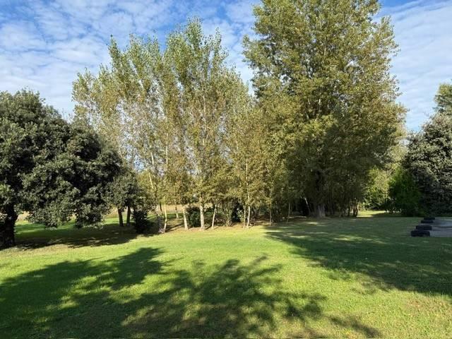 Terreno in vendita a Ravenna RA