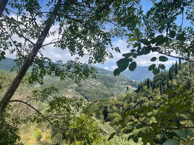 Terreno in vendita a Recco GE