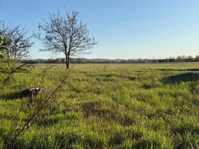 Terreno in vendita a Retorbido PV