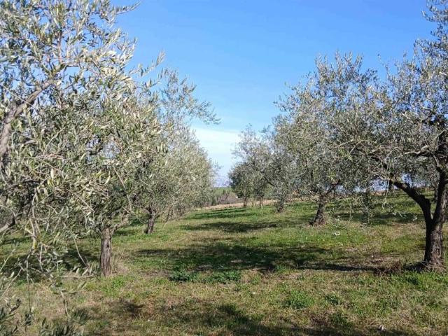 Terreno in vendita a Rimini RN