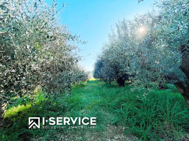 Terreno in vendita a Rimini RN