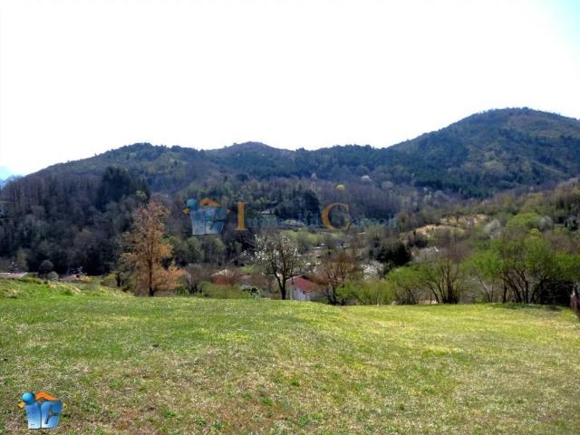 Terreno in vendita a Riofreddo RM