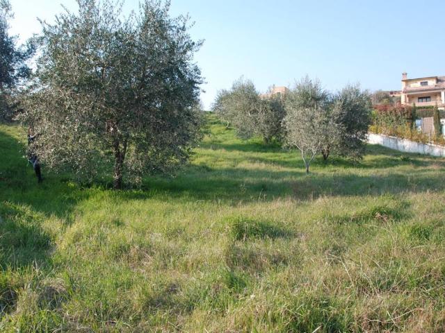 Terreno in vendita a Riano RM