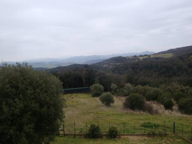 Terreno in vendita a Riparbella PI