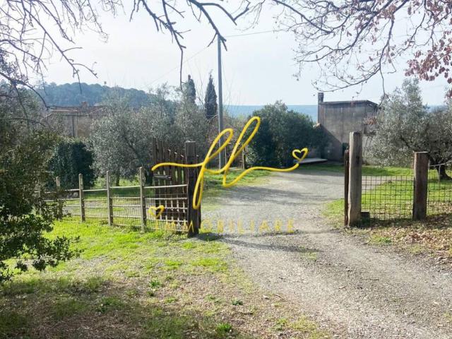 Terreno in vendita a Riparbella PI