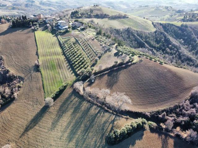 Terreno in vendita a Ripatransone AP