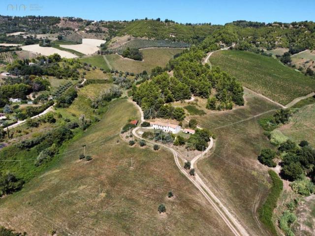 Terreno in vendita a Ripatransone AP