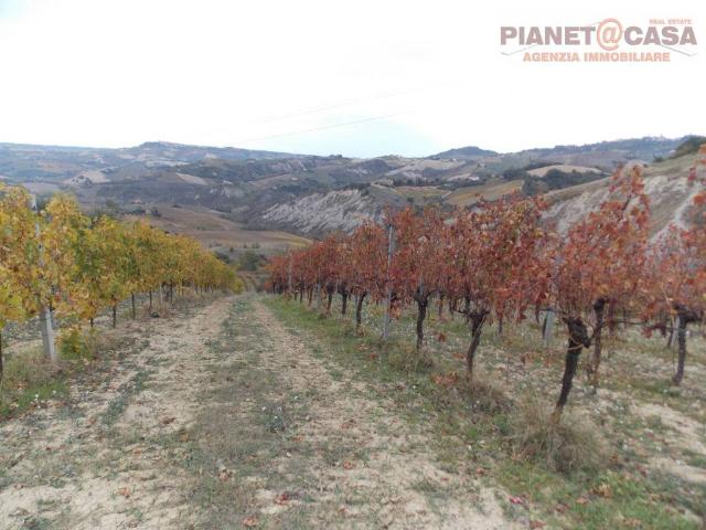 Terreno in vendita a Ripatransone AP