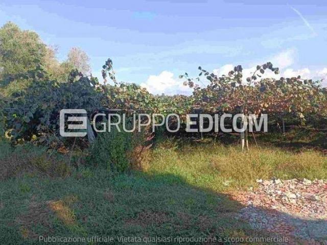 Terreno in vendita a Rizziconi Rif. 4554893