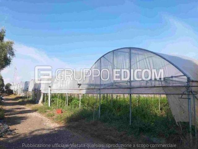 Terreno in vendita a Rizziconi Rif. 4554894