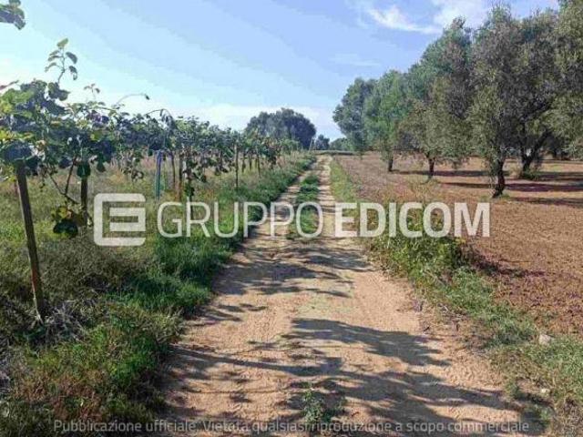 Terreno in vendita a Rizziconi Rif. 4554895