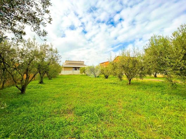 Terreno in vendita a Roma RM