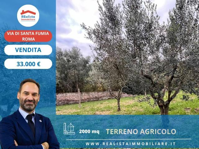 Terreno in vendita a Roma RM