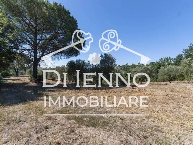 Terreno in vendita a Roma RM