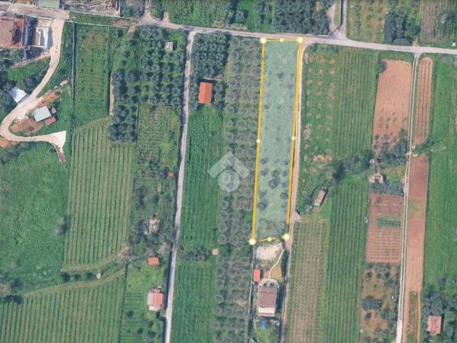 Terreno in vendita a Roma RM