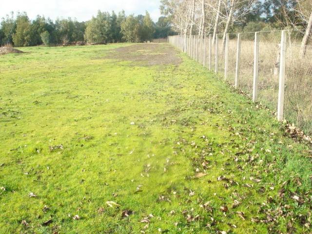 Terreno in vendita a Roma RM
