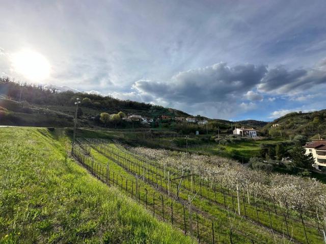 Terreno in vendita a Roncà VR