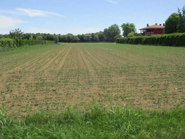Terreno in vendita a Roncade TV