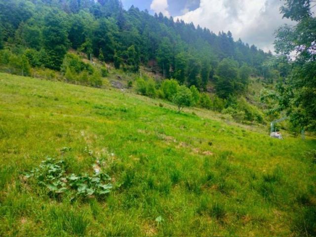 Terreno in vendita a Roncegno Terme TN