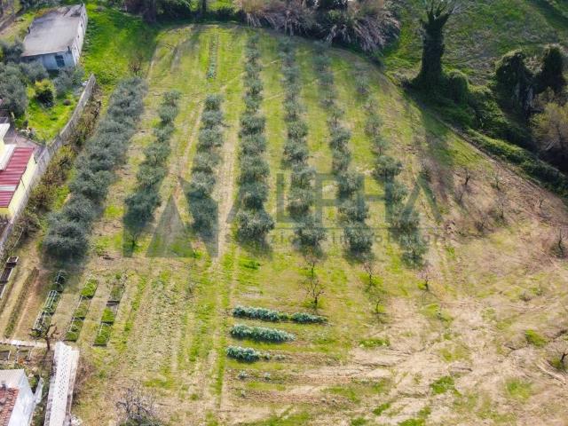 Terreno in vendita a Roncofreddo FC