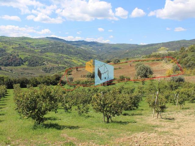 Terreno in vendita a Rocca Imperiale CS
