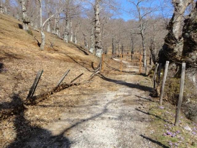 Terreno in vendita a Roccamonfina CE