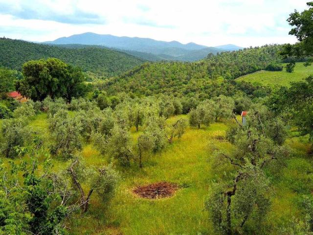 Terreno in vendita a Roccastrada GR