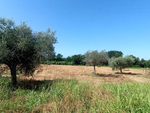 Terreno in vendita a Roccasecca FR