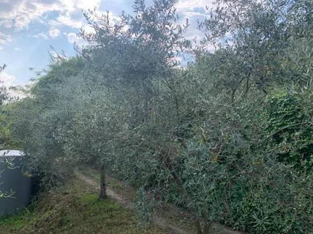 Terreno in vendita a Roccavaldina ME