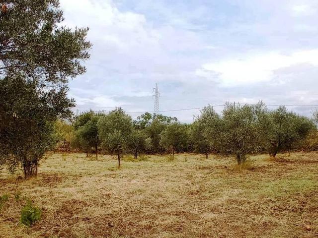 Terreno in vendita a Roccella Ionica RC
