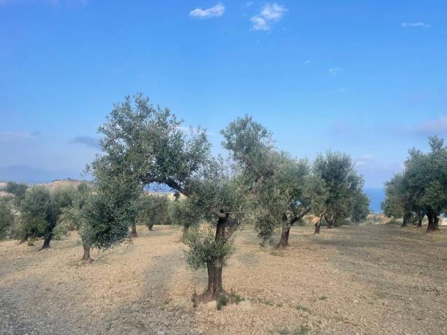 Terreno in vendita a Roccella Ionica RC