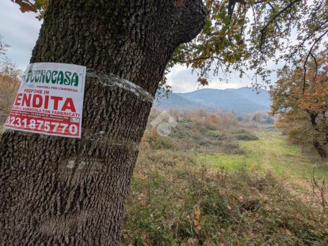 Terreno in vendita a Rocchetta e Croce CE
